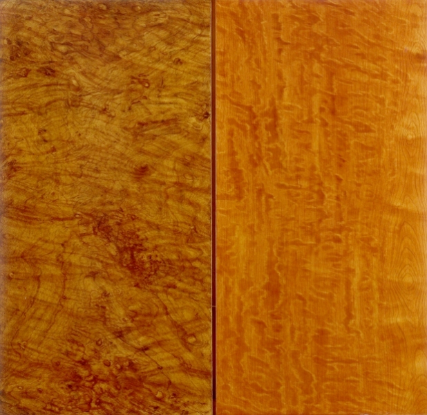 examples of grained panels