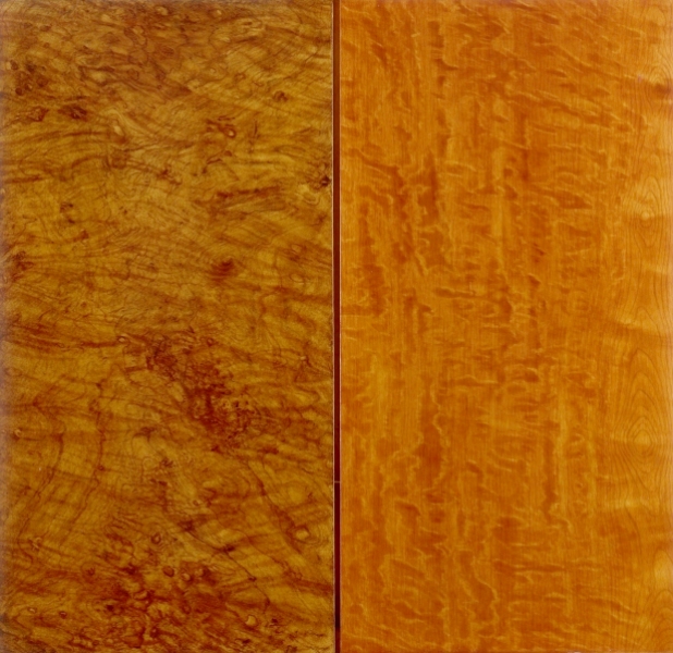 examples of grained panels