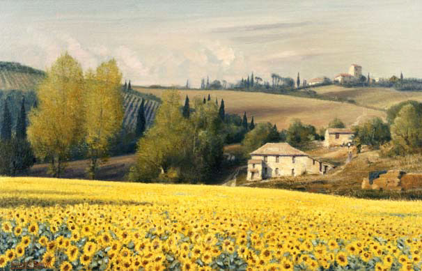 Sunflowers in Tuscany