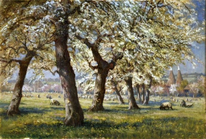 Spring in the Old Orchard